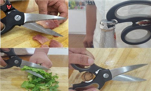 Multipurpose Kitchen scissors